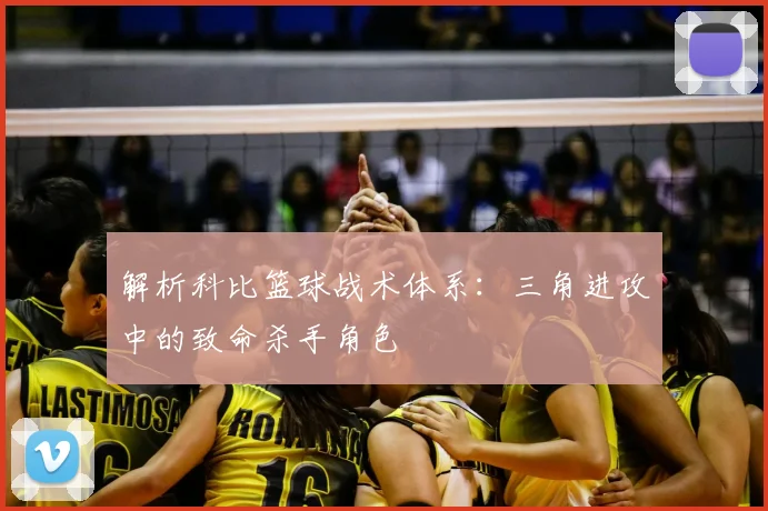 解析科比篮球战术体系：三角进攻中的致命杀手角色